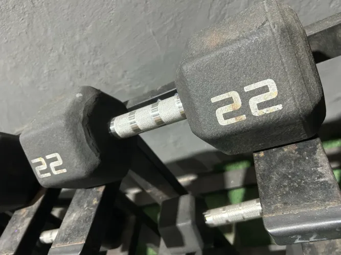 Dumbbell sextavados cromados