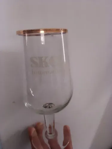 Taça Skol 