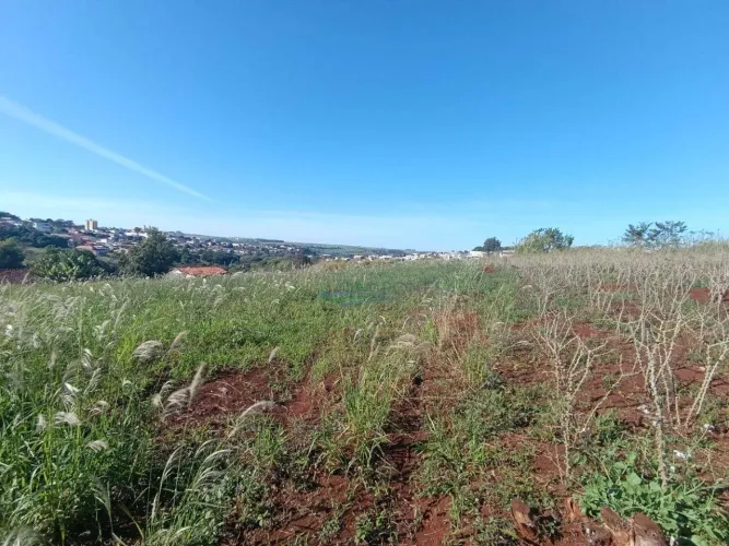 Chácara à venda, 1750 m² por R$ 185.000,00 - Zona Rural - Assaí/PR