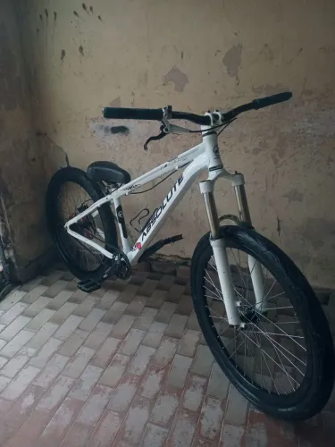 Quadro absolute