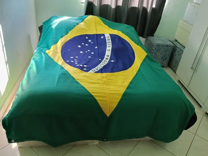 Bandeira Oficial do Brasil 
