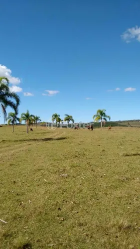 Fazenda / Sítio / Chácara à venda Estrada Agronomia, Agronomia - Eldorado do Sul