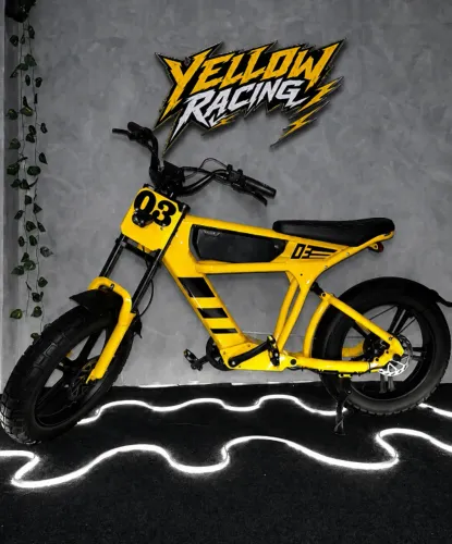 Bicicleta Elétrica FT03 1000W 48v Autonomia de até 60km