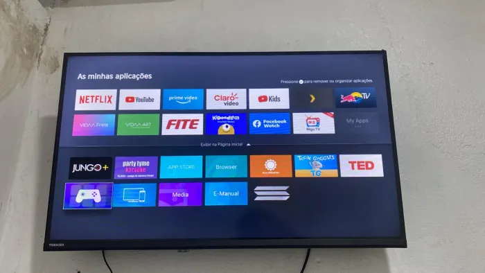 Televisão