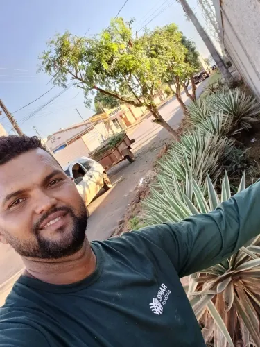 Podor e corto árvore e retiro os galhos