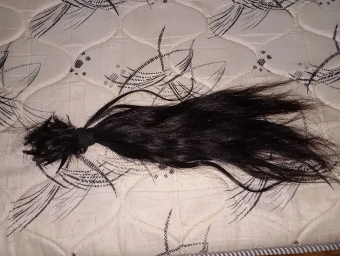 Cabelo