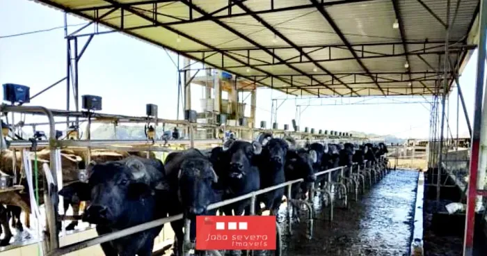 Fazenda para Venda em Iguape