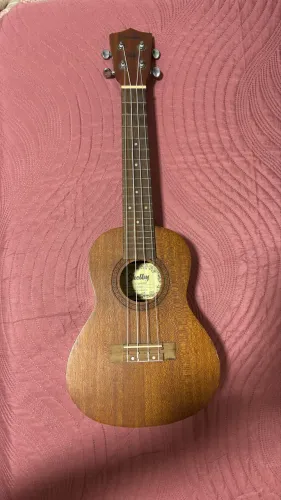 Ukulele Concert Shelby