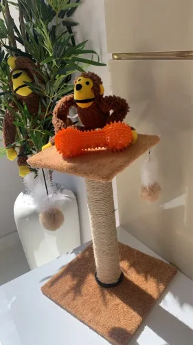 Arranhador para gatos novo 