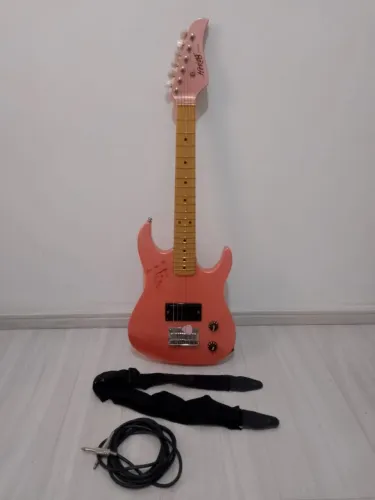 Guitarra Hering Sandy e Junior 