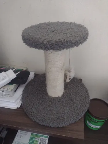 Arranhador gatos