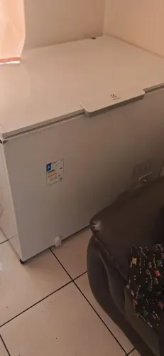 Freezer e refrigerador 