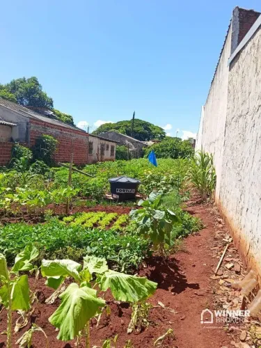 Terreno à venda, 634 m² por R$ 250.000,00 - Jardim Verão - Sarandi/PR