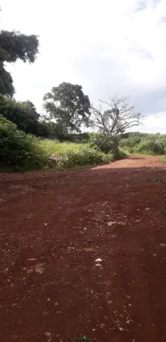 Terrenos grandes em Franca/SP próximos à rodovia - a partir de R$ 190 mil