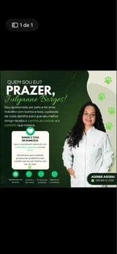 Banho e tosa no conforto de casa