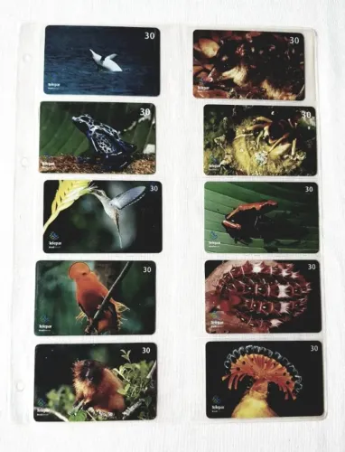 Cartões Telefônicos - Série: Curiosidades SPVS - 2001 - Coleção Completa - 10 Cartões
