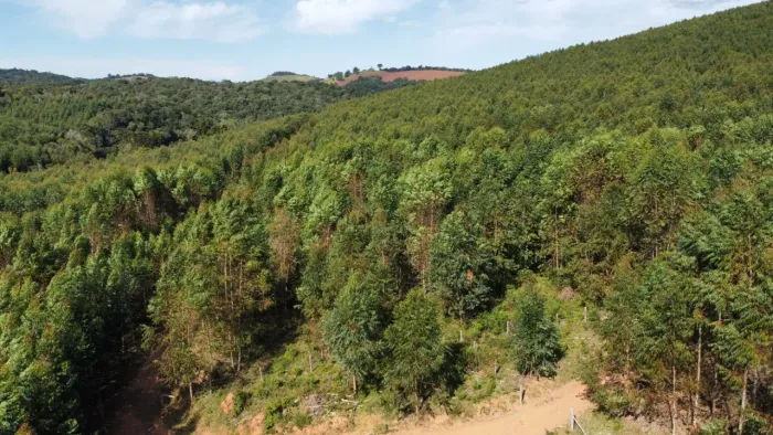 Fazenda em Ribeirão Branco SP