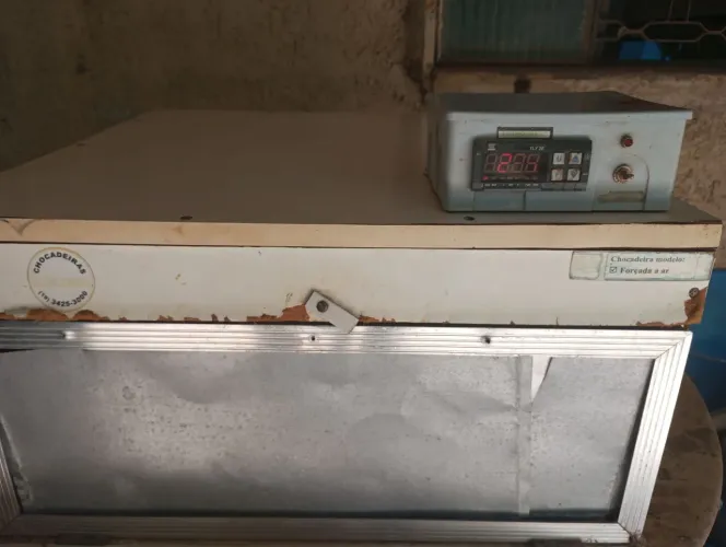 Vendo chocadeira 50 avó 