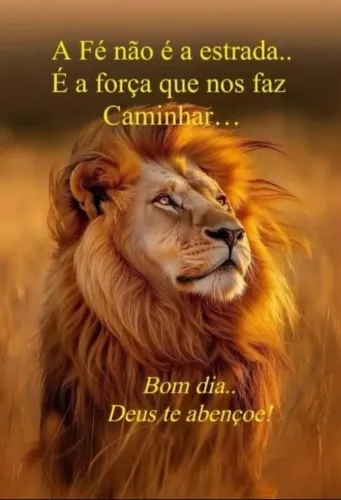 Profissional disponível
