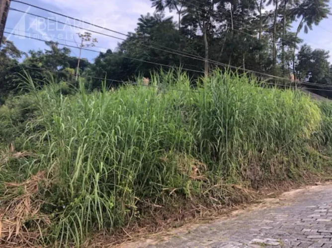 ÓTIMO TERRENO - VILA NOVAProcurando um terreno a fim de construir residência ou sobrados,