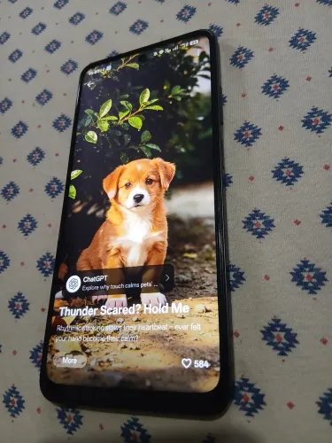 Celular Oppo A5 256GB 500,00
