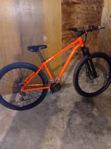 Bicicleta aro 29 (ENTREGO)