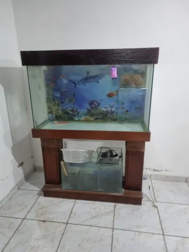 Quario com o móvel e sampa junto com a bomba