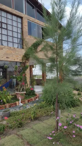 Casa com 4 dormitórios à venda por R$ 680.000,00 - Centro - Cruz do Espírito Santo/PB