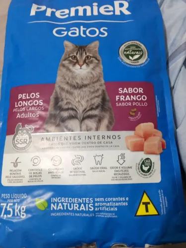 Raça para gatos