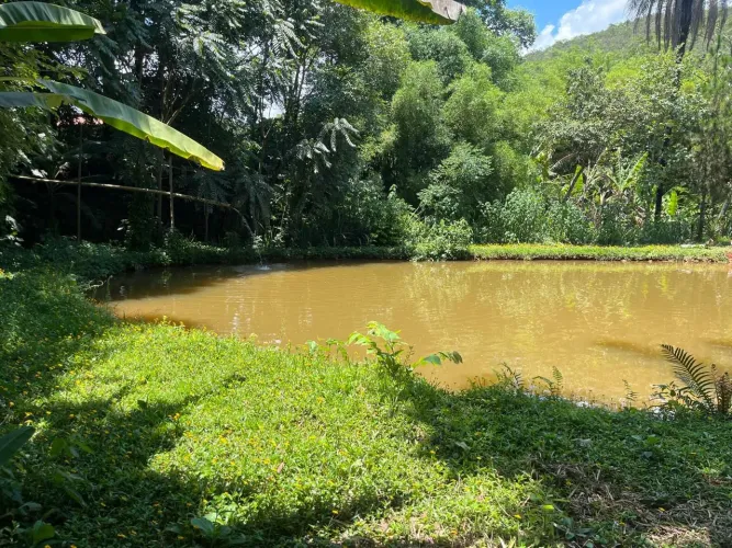 SÍTIO EM VIEIRAS COM ÁGUA EM ABUNDÂNCIA.