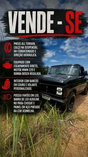 Ford F-1000 S. S. Diesel / S.s. Diesel Turbo 1987