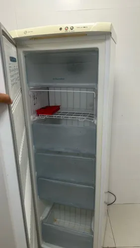 Freezer Vertical Electrolux Frost Free (Modelo FFE24)
