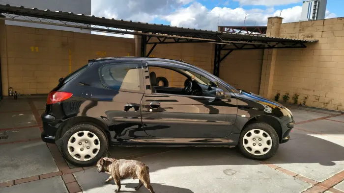 Peugeot 206 Sensation 1.4 Flex 8V 3P 2008