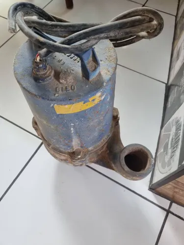 Bomba sapo de 2" trifásica 220v