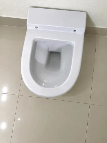 Vaso sanitário