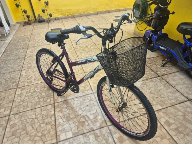 Bicicleta Feminina