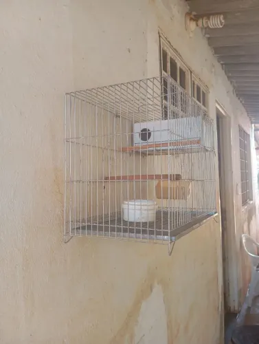 Um gaiola usa mas nova ótima para quem quer usa para seu animal 