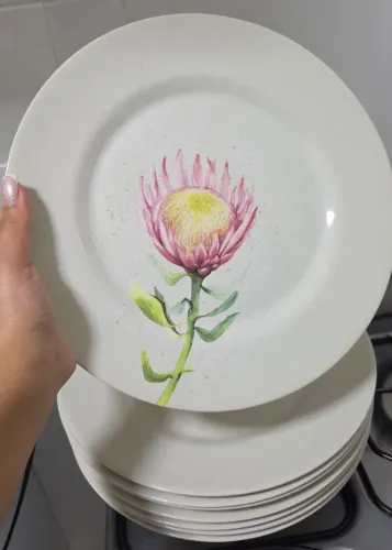 Pratos fe cerâmica Protea