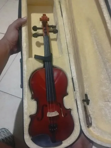 Violino
