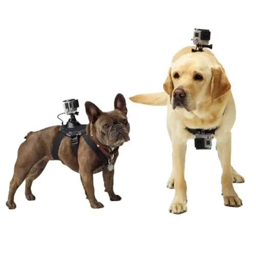 Suporte Canino - Lombar e Peito para Gopro SJCAM Eken Xtrax HD 4K
