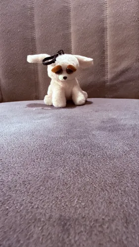 Feisty pet chaveiro