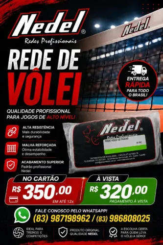 Rede de vôlei profissional