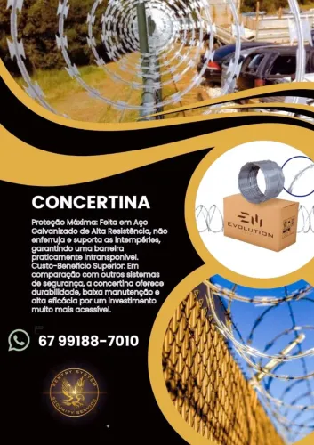 Concertina: Barreira de Proteção