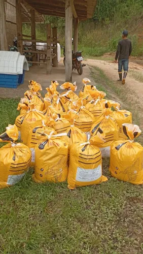 Vento exterco orgânico 