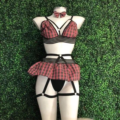 Fantasia Colegial Apaixonada
