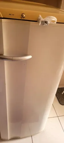geladeira eletrolux degelo seco