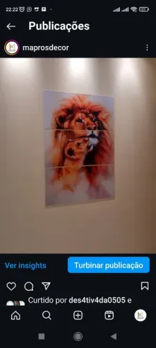 Quadro leão e filhote