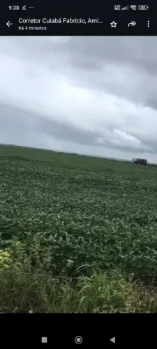 Fazenda arrendamento 1600hec. plantando já 700hec em Canarana MT. gradear até 1600 hec