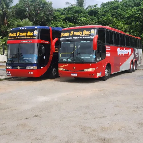 Aluguel De Ônibus Pra Sua Viagem,pic nic,City tour e etc.