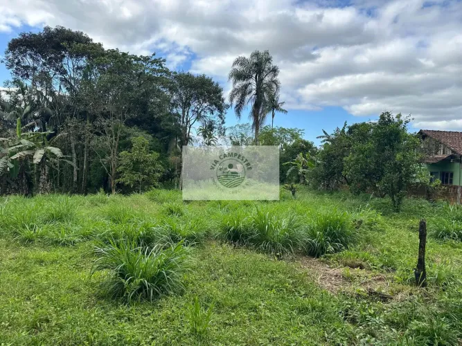 Sítio em Pirabeiraba, com 6.000 m2, com riacho, boa parte limpa